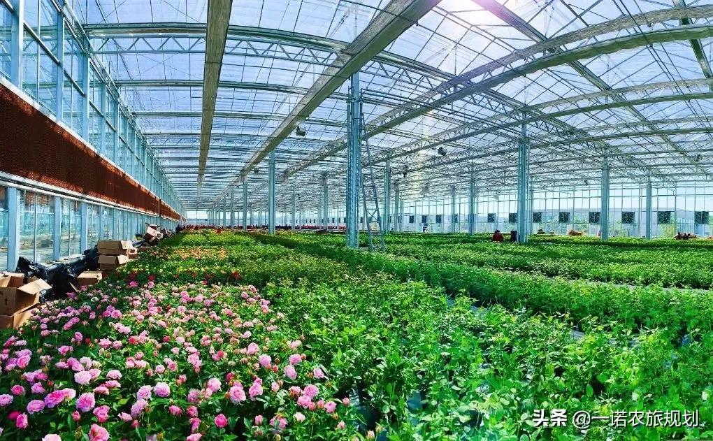 国家现代农业产业园奖补资金方面有何特点？