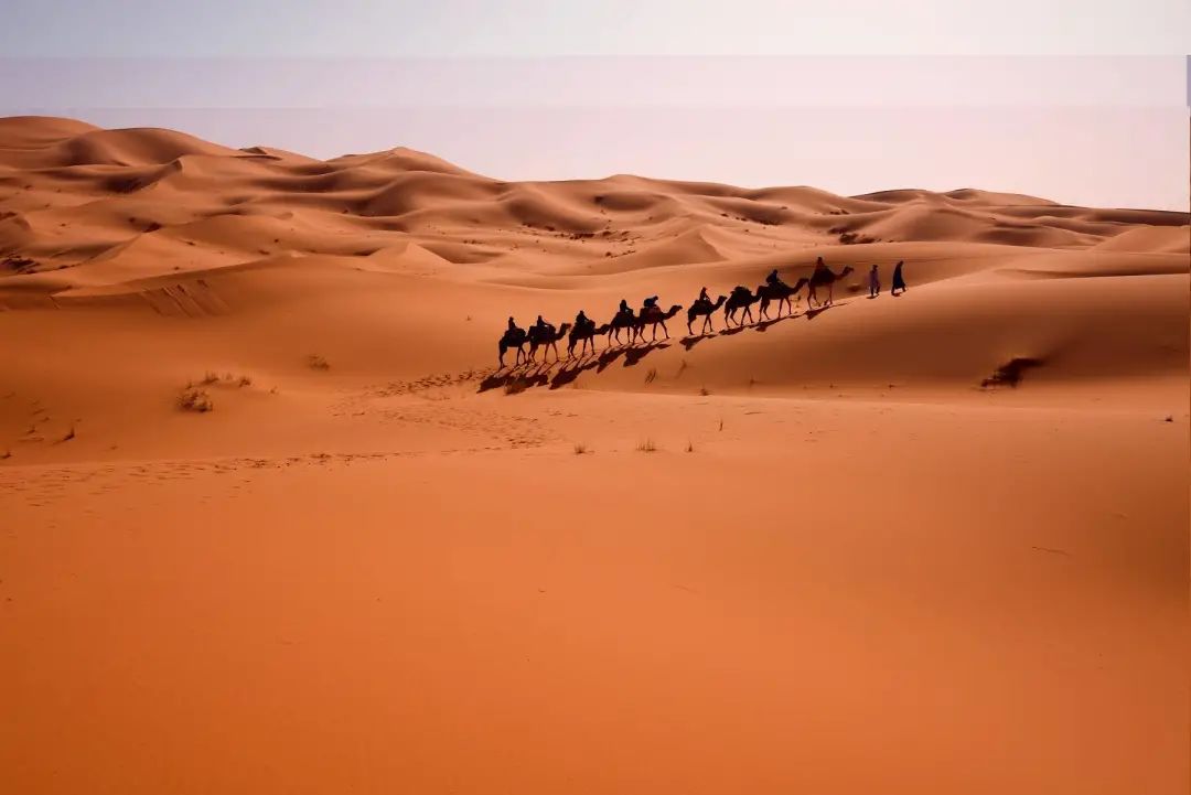 非洲大陸20個最值得探索的地方