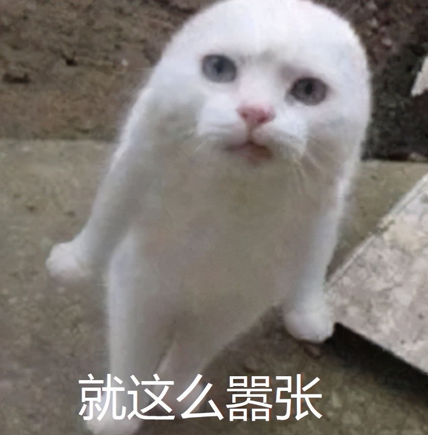 华为放大招！鸿蒙系统彻底放开，所有手机都能用