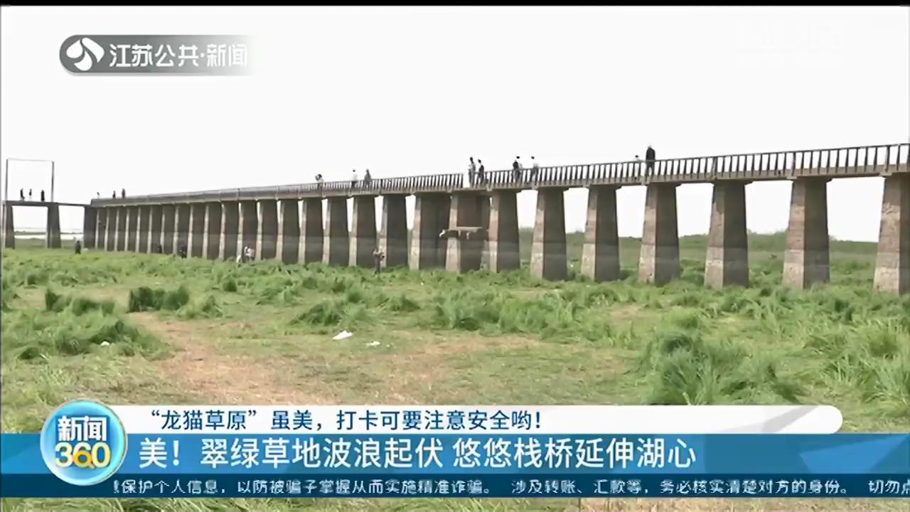 南京版“龙猫草原”虽美，打卡要注意安全！栈桥属危桥，禁止入内