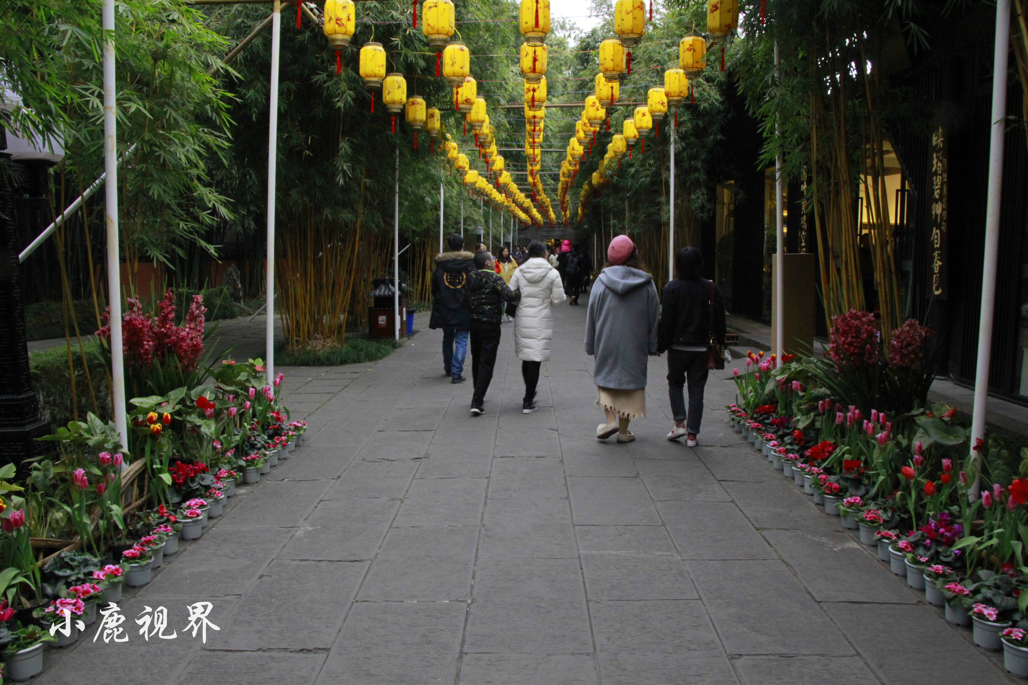 打卡成都武侯祠：感受三国文化，看最热闹的庙会