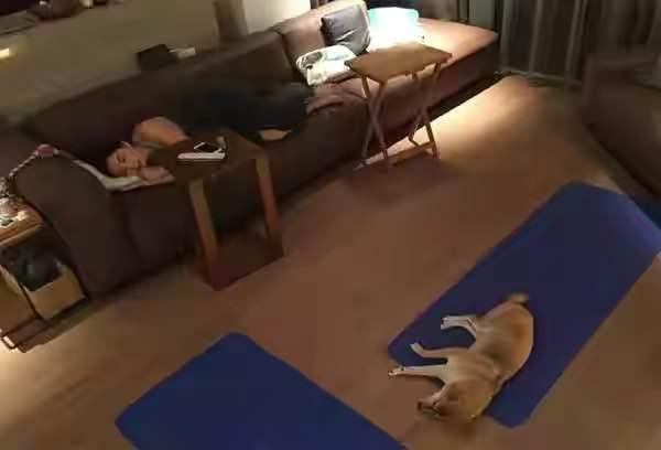 ELLA豪宅内景曝光，3亿复式楼能跑步，韩剧女主即视感