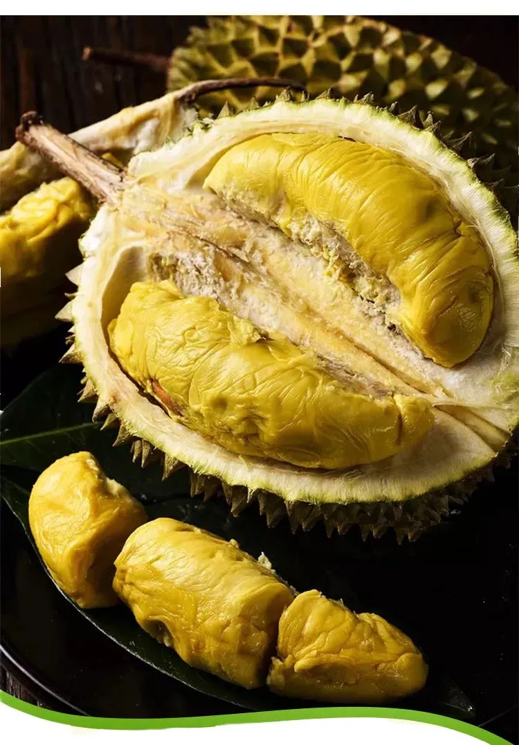 猫山王榴莲免费吃！难怪有大批南宁人即将