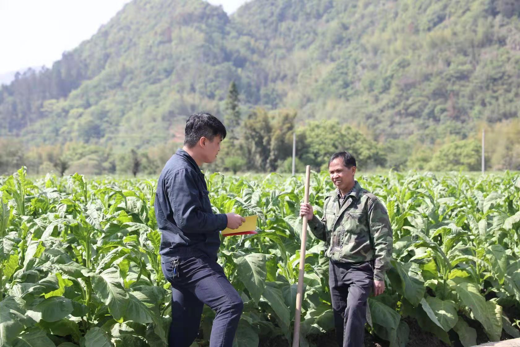 福建龙岩连城供电公司：脱贫攻坚路上“有温度”的供电答卷
