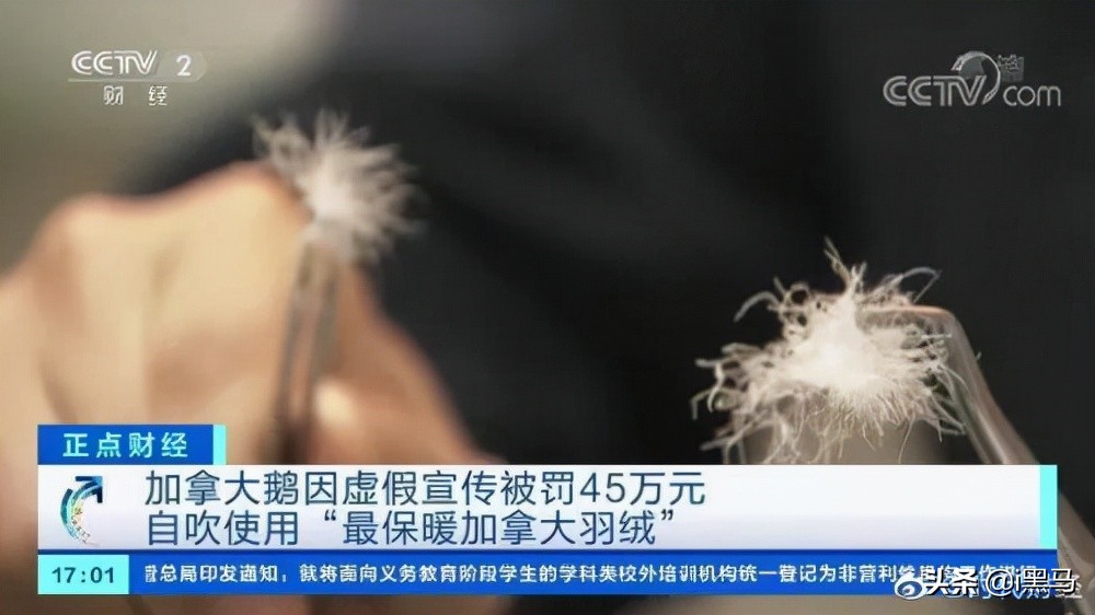 腾讯回应60岁老太凌晨五杀；茅台回应变更为国有控股