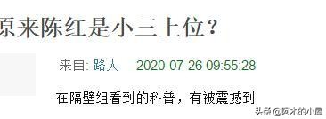 网传陈红是小三上位？他们一家子的绿卡还是原配洪晃拿到的？