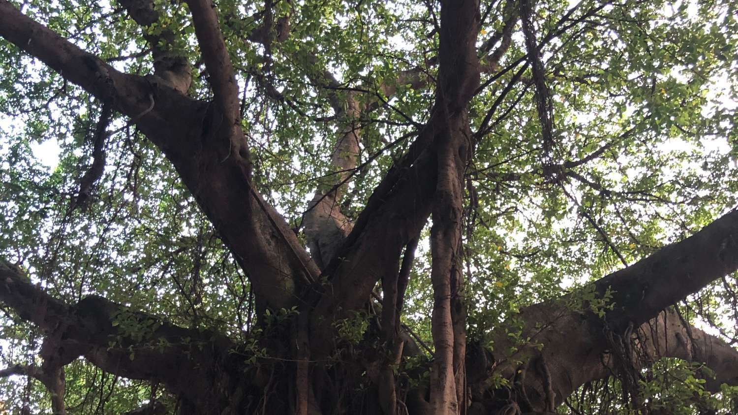 偶遇逢甲大学，每个人心里都有一座安放青春的美丽校园