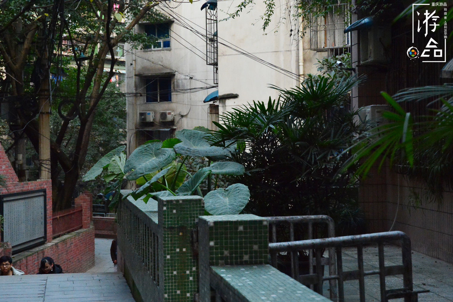 令人抓狂的重庆山城步道：用数字命名的，只有第3与第8步道吗？