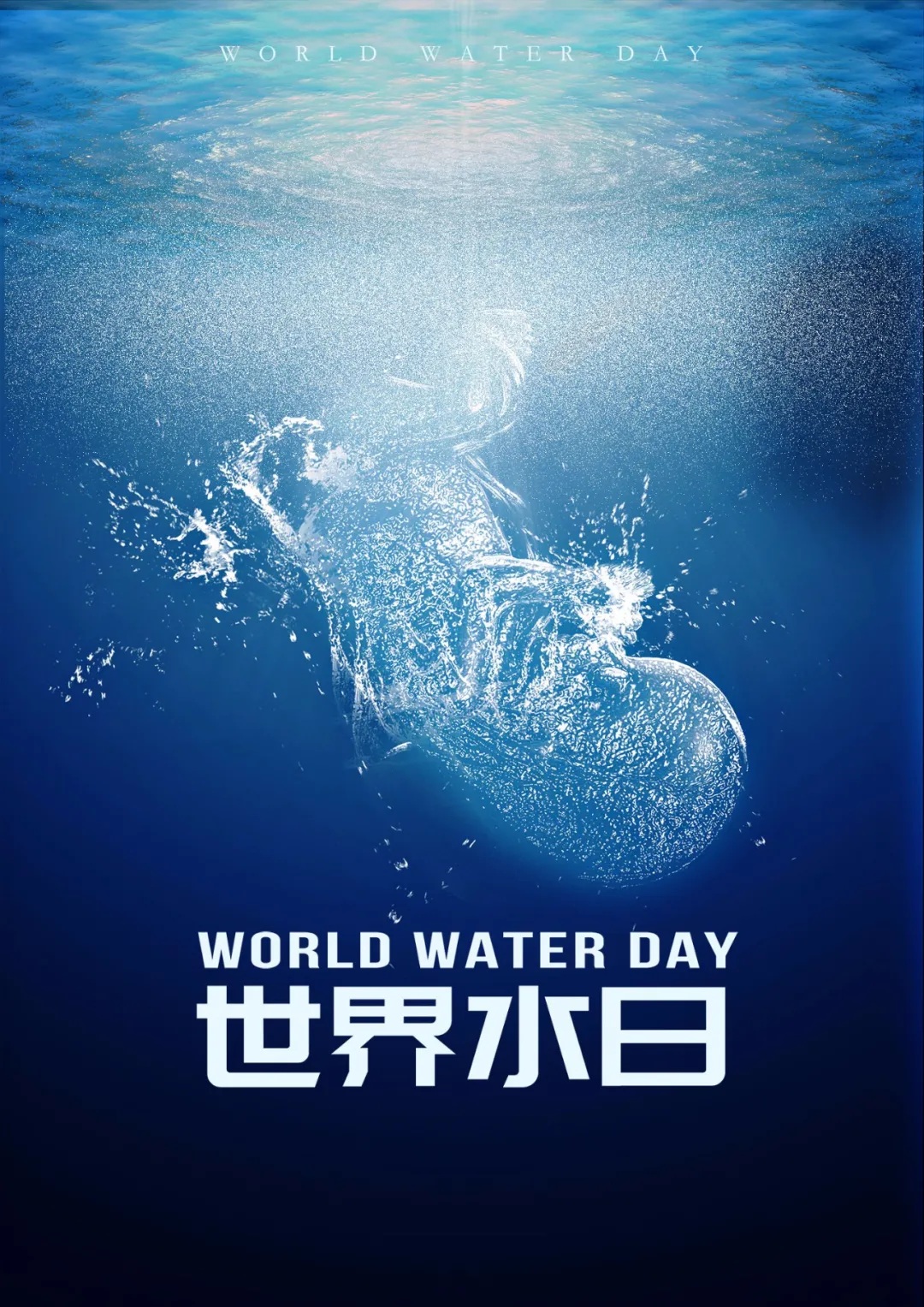 世界水日 | 保护海洋水资源，要先从了解它开始