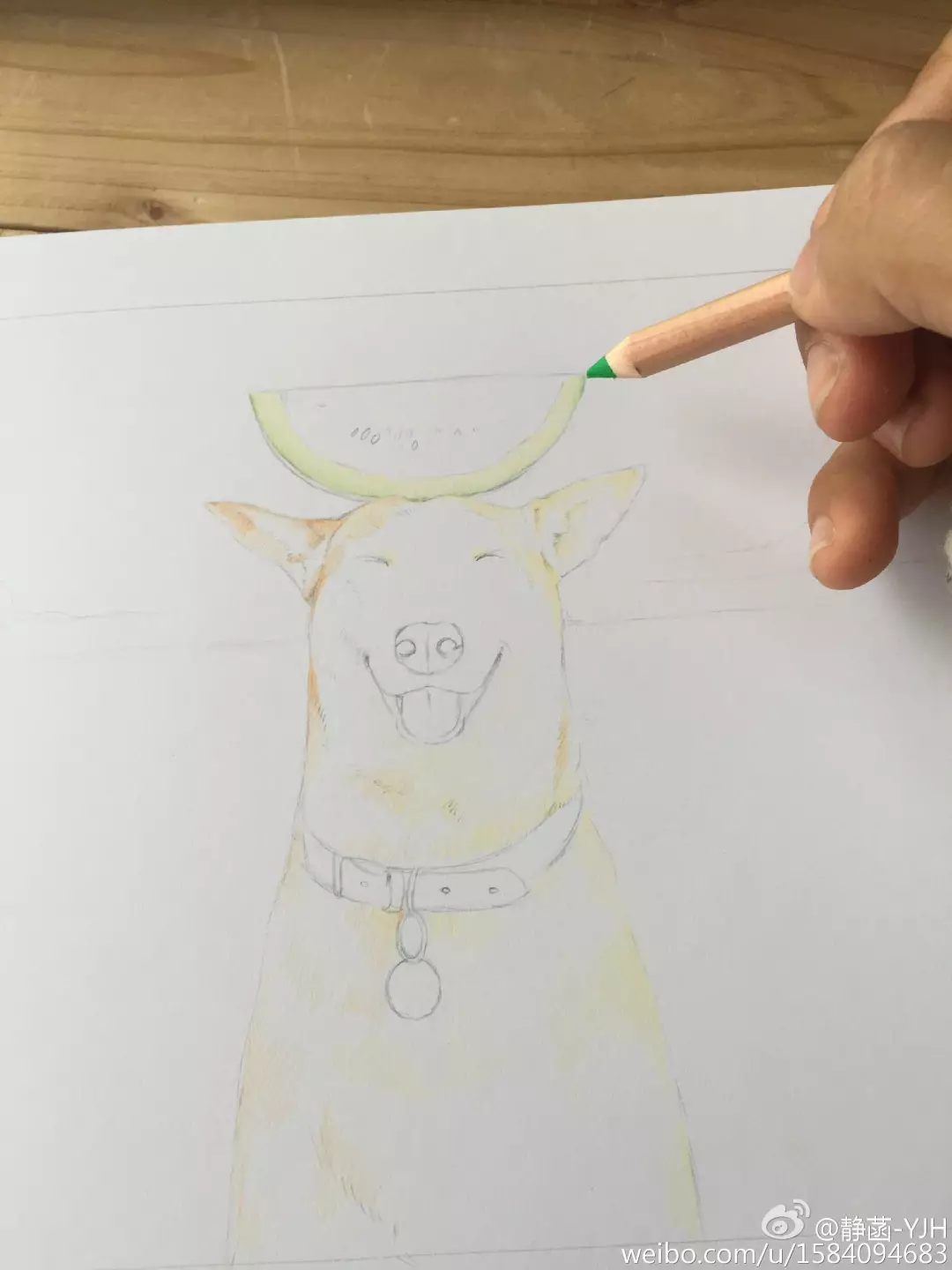 彩鉛動物入門教程｜可愛逗B狗(馬可帶色號)