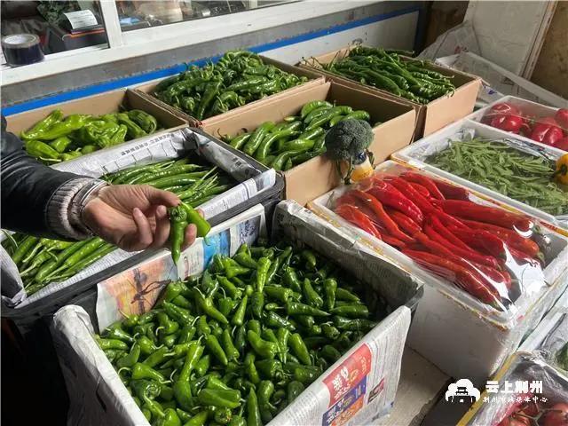 Reporter investigation uncovers secret! Can of price of chili of chaste tree city compares porky backside