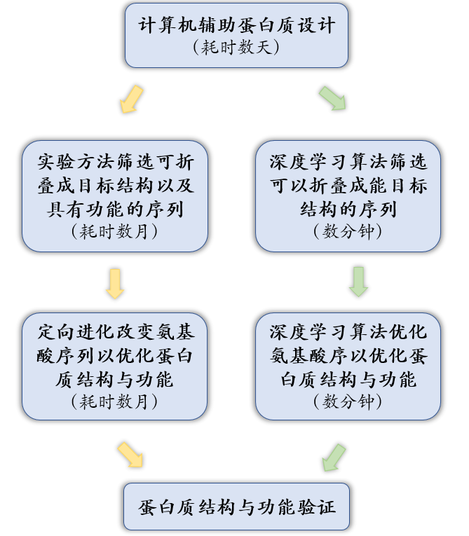 会预测蛋白结构的AI，还要教我们设计新蛋白