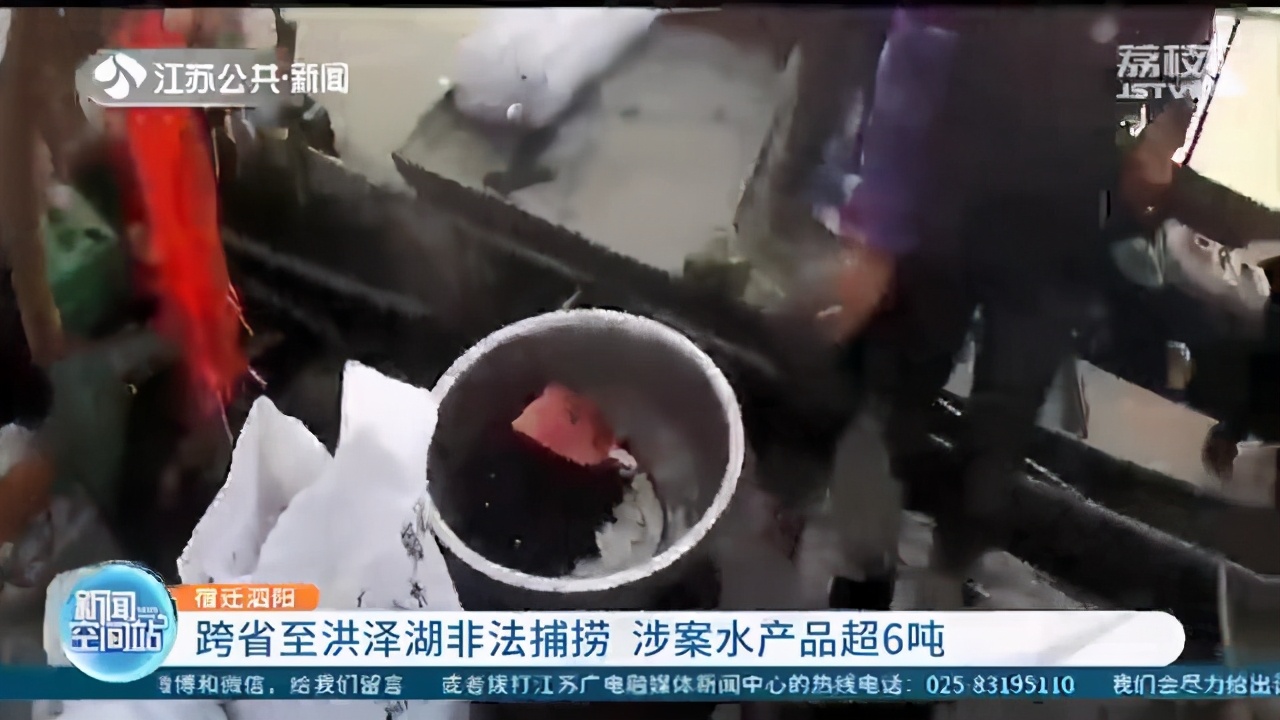 俩团伙跨省至江苏洪泽湖作案 非法捕捞芡实、螺蛳超6吨