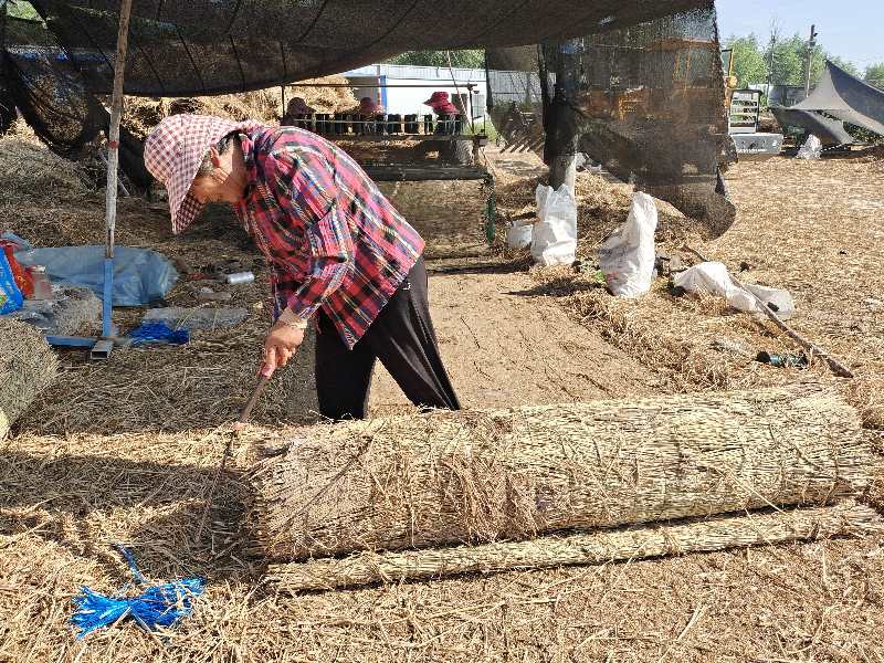 稻草|摄影师用镜头记录稻草帘、草绳制作全过程