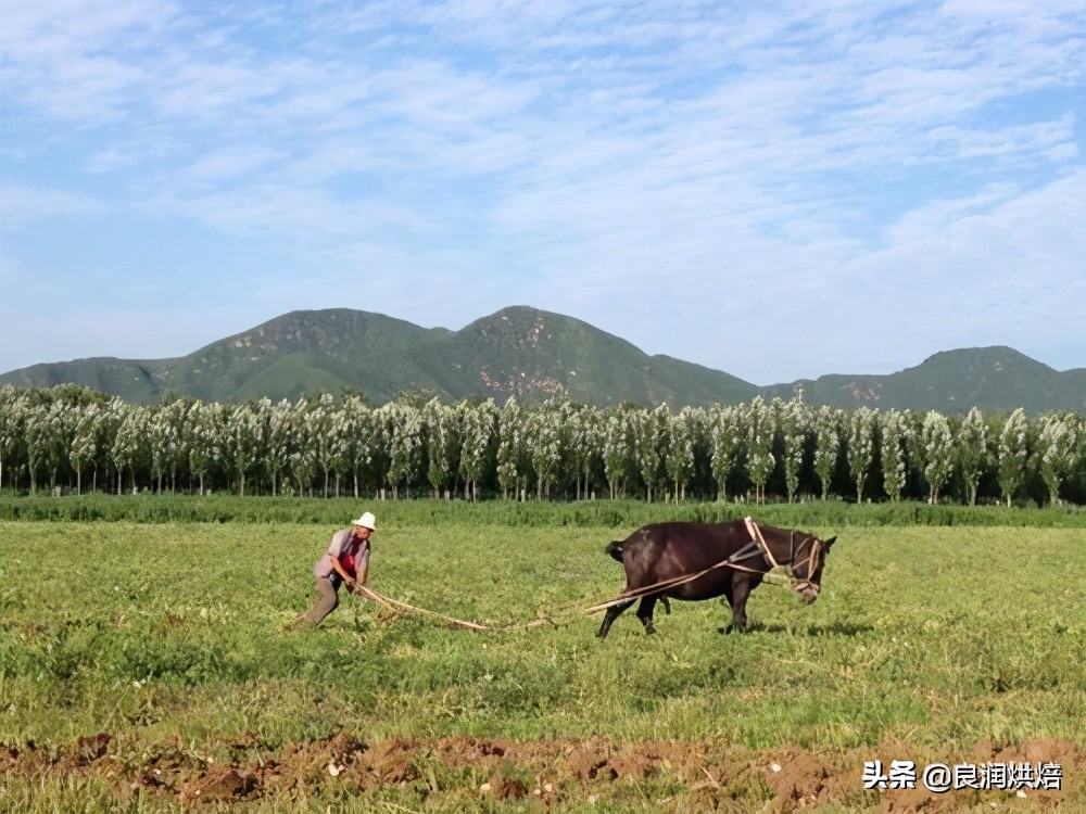 什么|惊蛰当天吃什么 万物复苏记得吃这5种传统美食寓意赶走霉运人吉祥