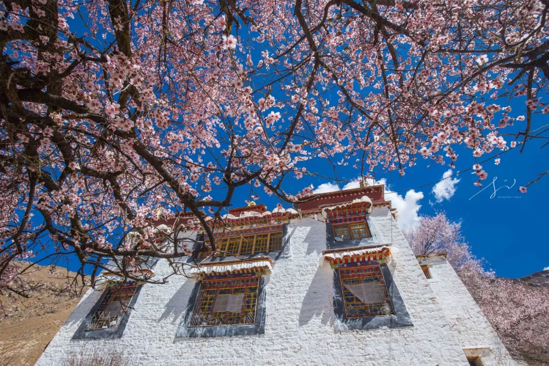 回到拉萨,回到因信仰而汇聚的地方插图(9) 回到拉萨,回到因信仰而汇聚的地方