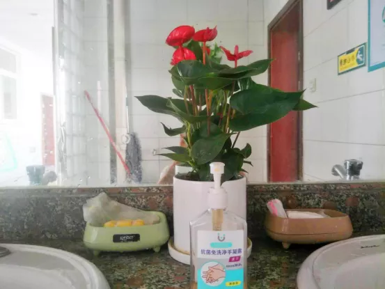 “乘风破浪”的武侯实验，让每一颗优质的种子，骄傲起来