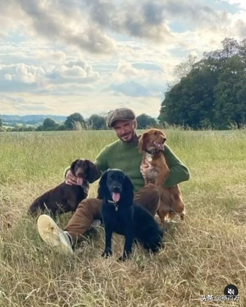 赶在封国之前逃离英国，贝克汉姆一家飞到佛罗