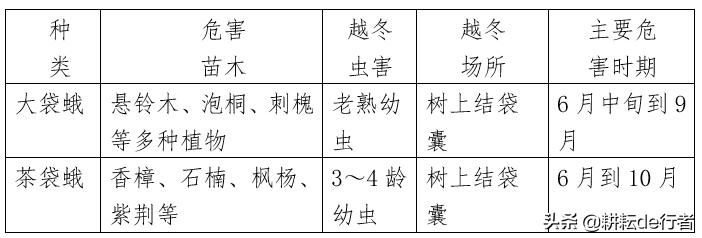 暖冬情况下，园林病虫害防治-第11张图片-农百科