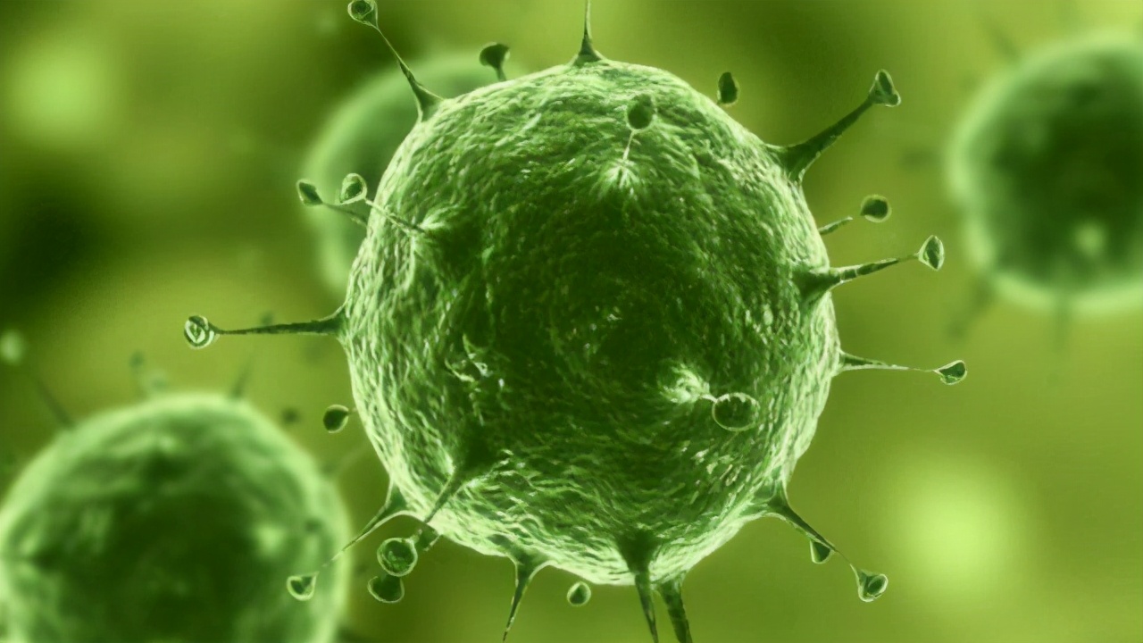 Zhong Nashan of ｜ of affection encourage annals: Hold to even if win, 2-3 month will appear the answer