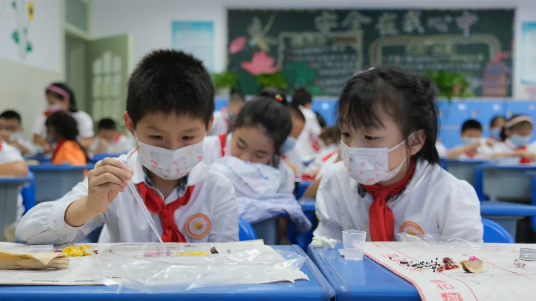 当中秋与中药相遇，孩子们的心里便撒下了中医药的种子