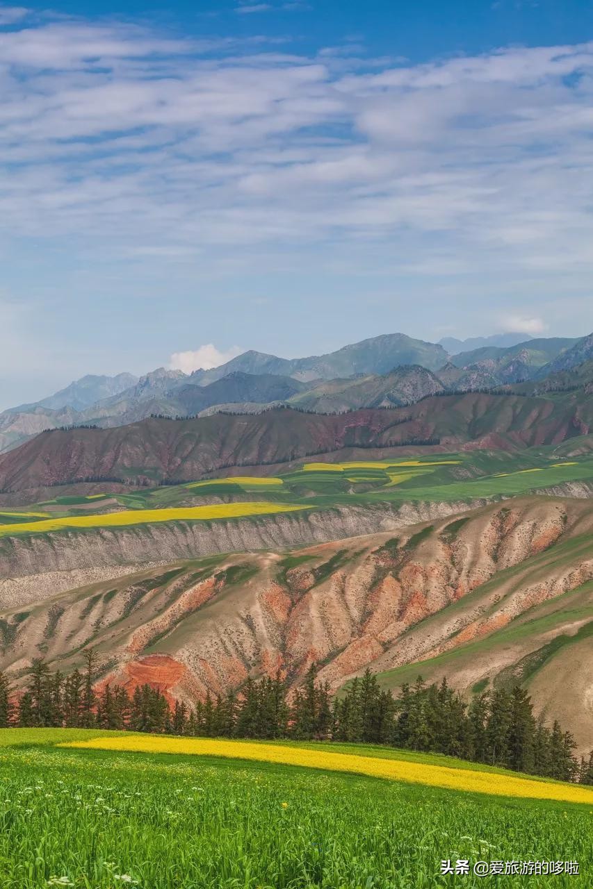 青海值得旅游的地方 青海湖最佳旅游月份(圖16)