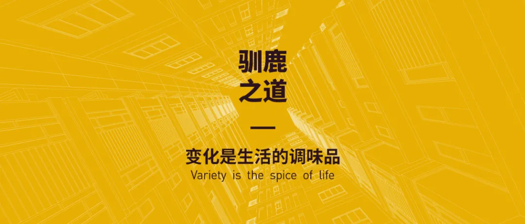 行云跨境周讯:拼多多联合湖南卫视推出“11.11超拼夜”