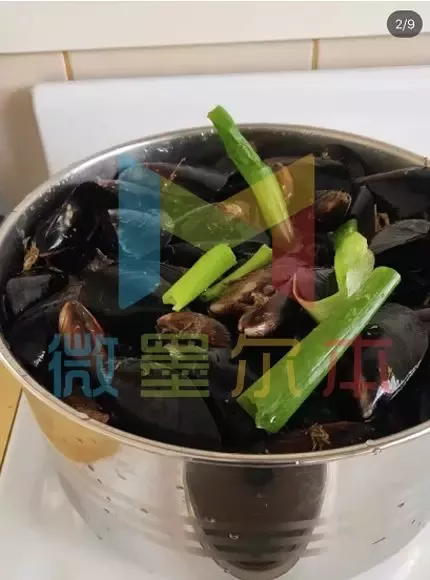 这个海鲜成超级食物，营养价值极高！澳洲海边几分钟能捡一大锅