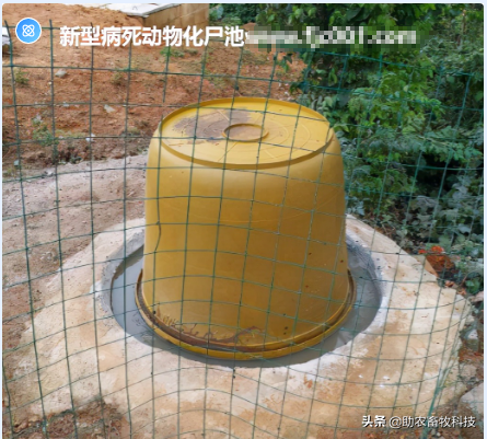 养殖场短时间处理较多病死动物如何低成本且不污染环境？