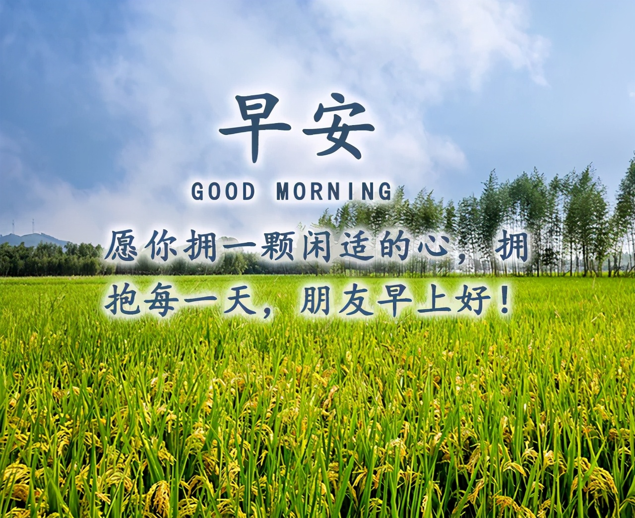 早上好图片2021最新图片 又是新的一天图片