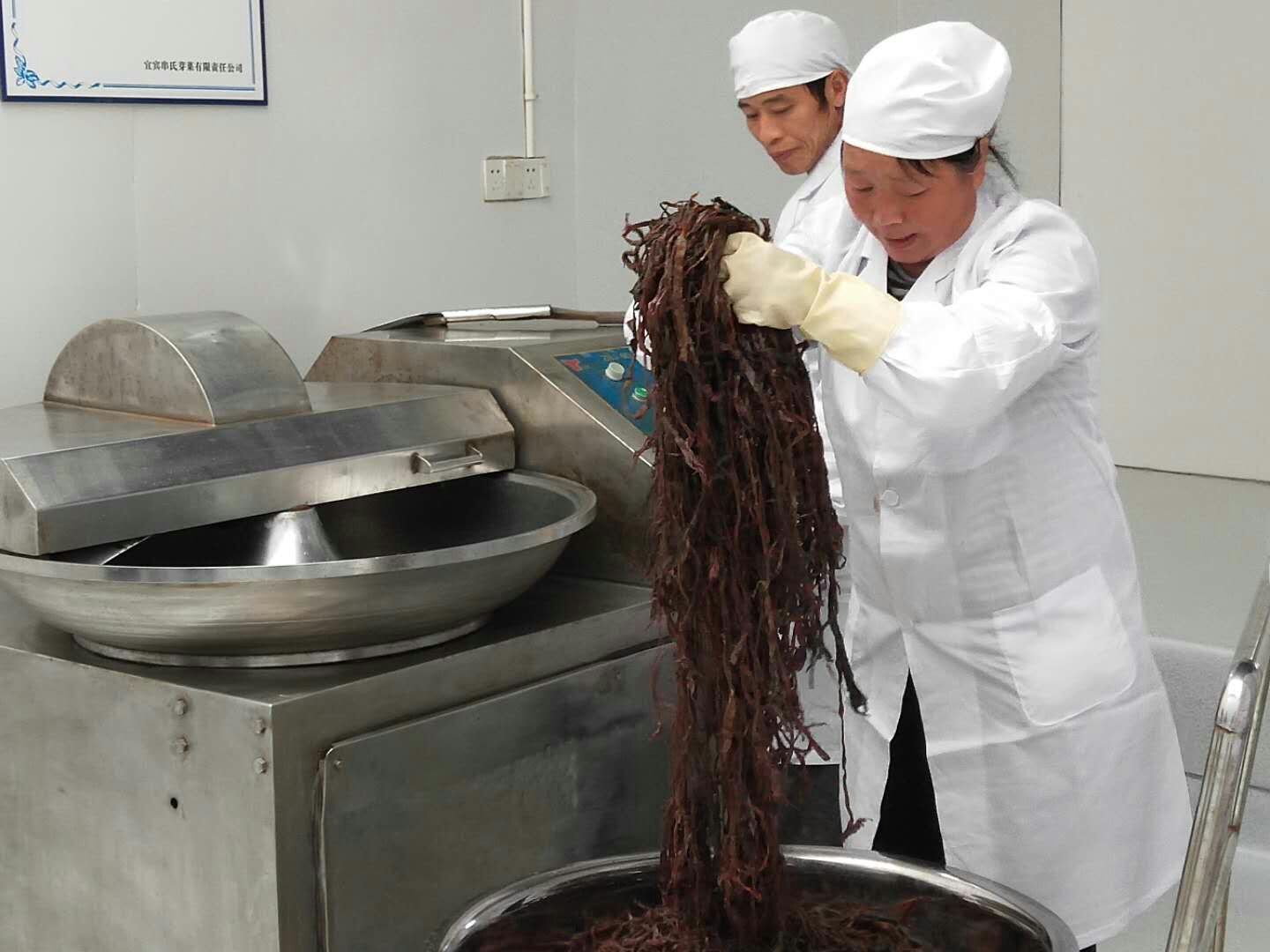 串氏芽菜，宜宾特色旅游商品！家传腌制技艺被列入非物质保护项目