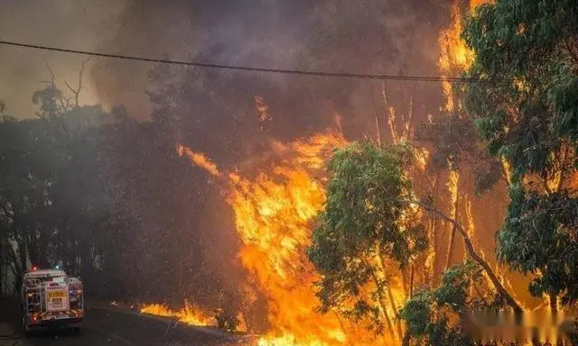 俄罗斯专家纳闷：为何中国被盯着不放，美澳却