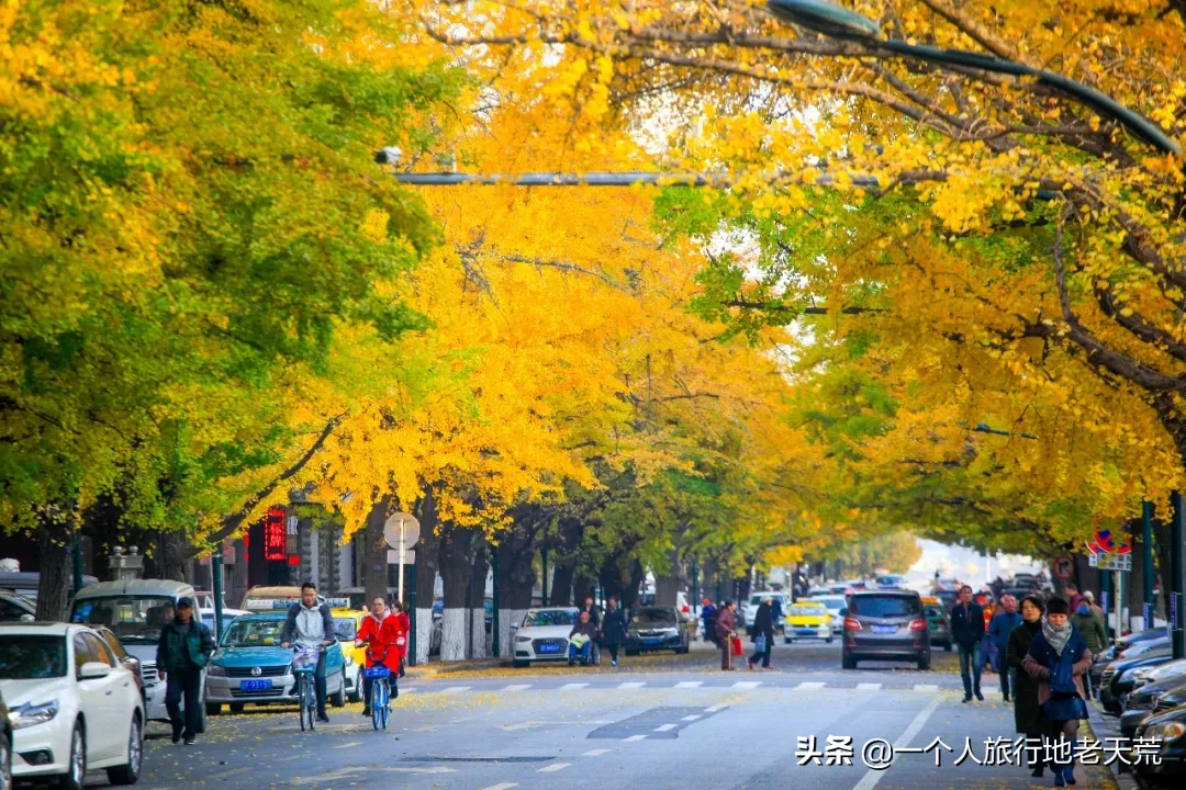 中国最大最美的边境城市，10月将迎来颜值巅峰