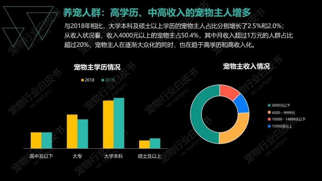 氪金火烧到宠物市场，年轻人凭什么愿意买单？