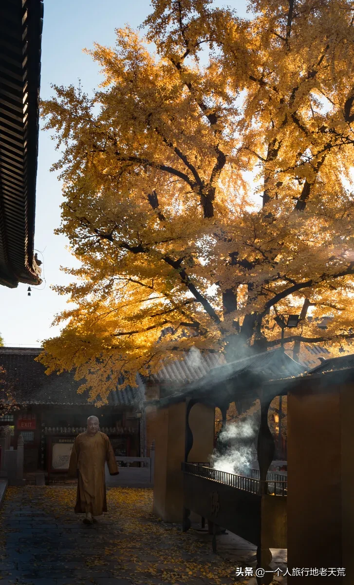 一入秋，最地道老北京突然刷爆朋友圈