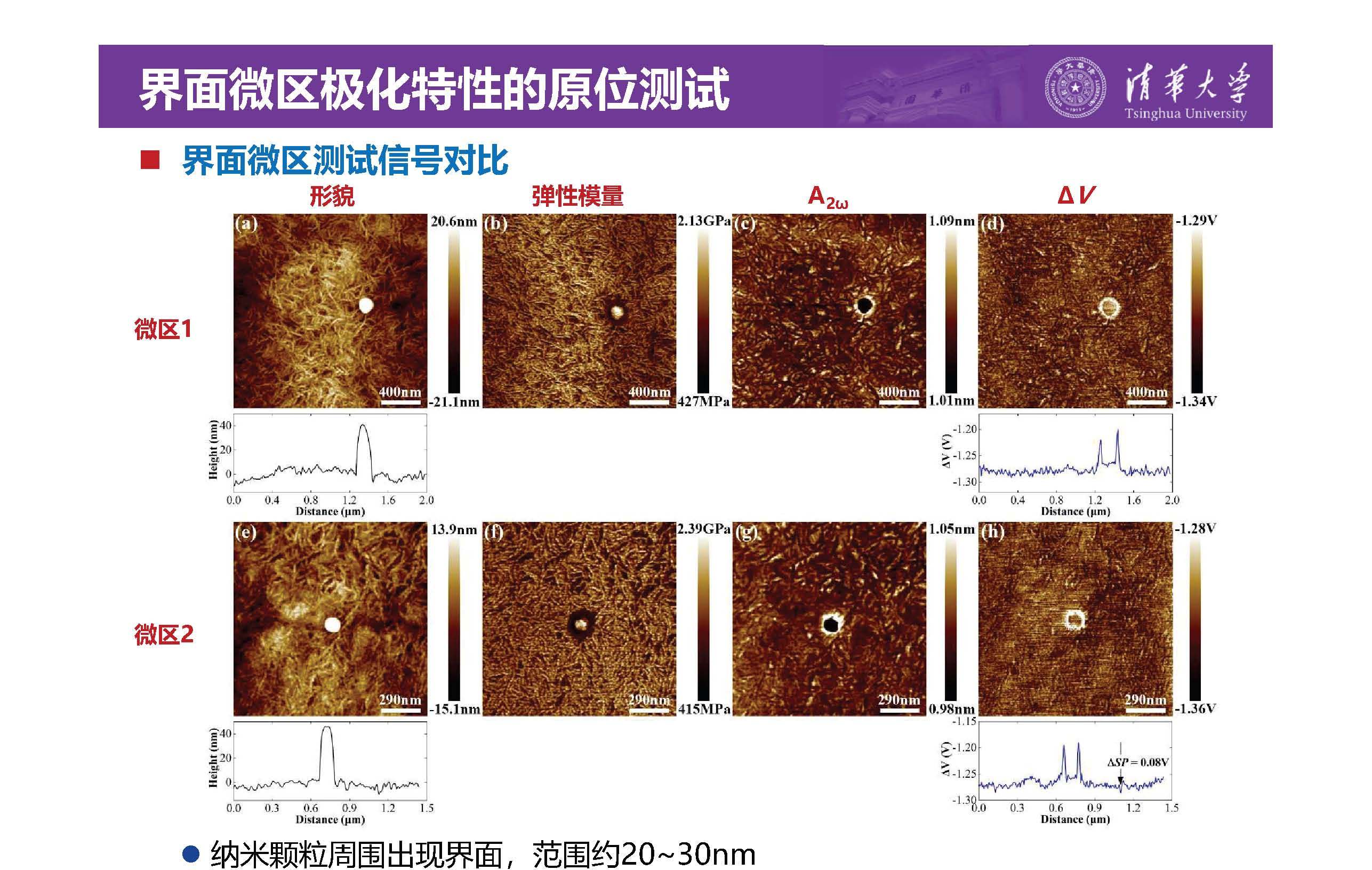 清华大学李琦副教授：介电纳米复合材料界面微区的原位测试技术