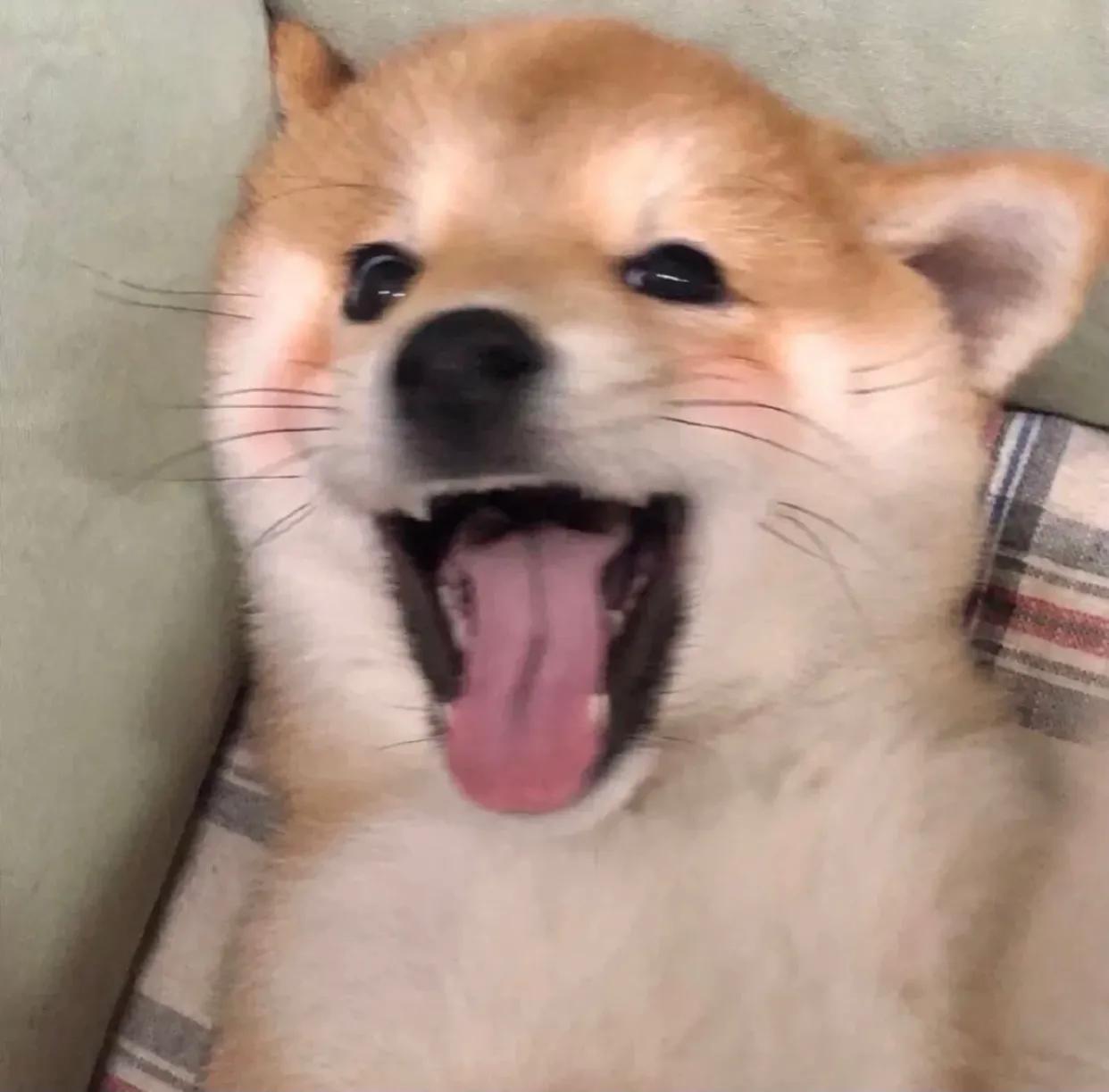 有点毛病的沙雕文案.