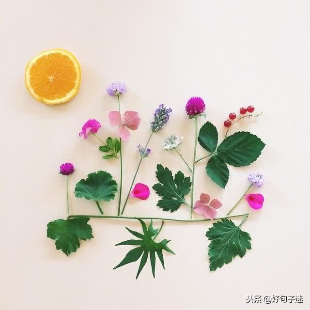 文艺而有韵味的句子 简短有格调的句子图片