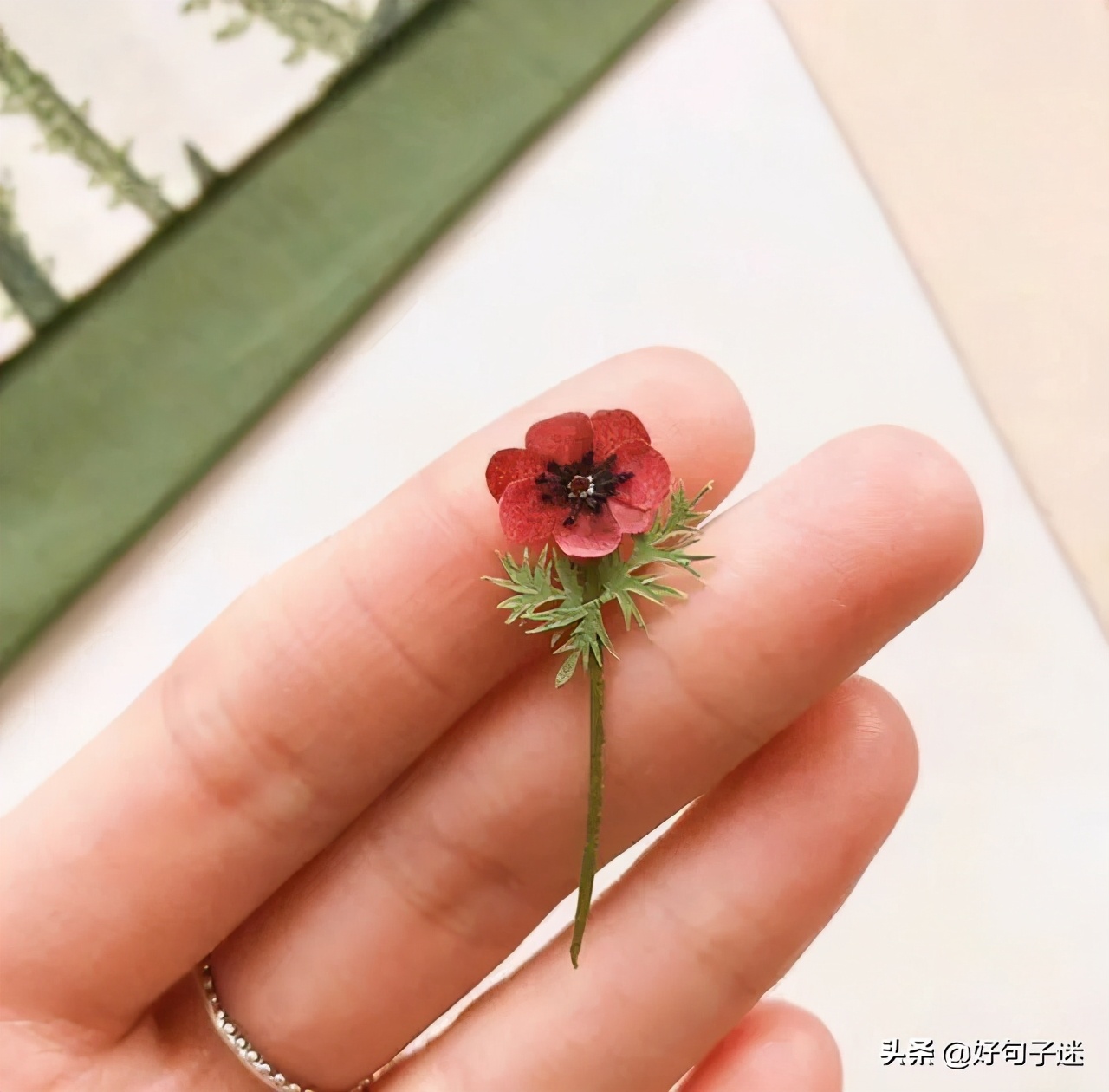 微信最红的人生感悟句子 简短而很有深度的句子图片
