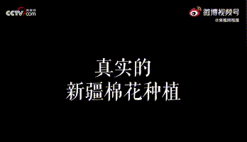 Support Xinjiang cotton, mom has an attitude! Our child, be in cotton of Xinjiang of benefit from benefit from