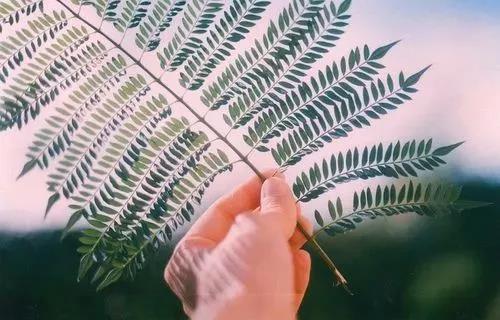 30个心理学技巧，深度揭示现代人心理秘密，值得一读再读