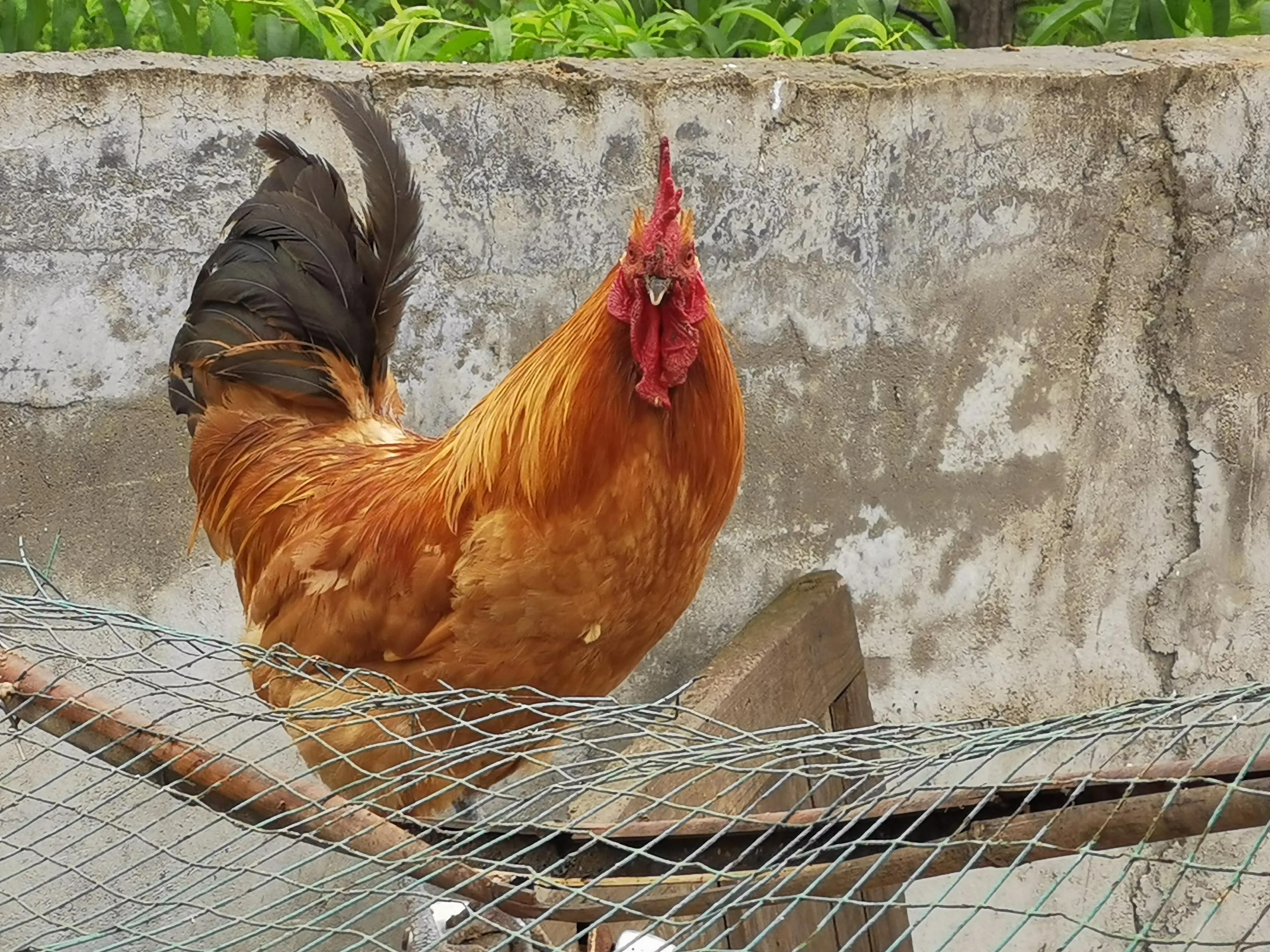 成功营销方法总结