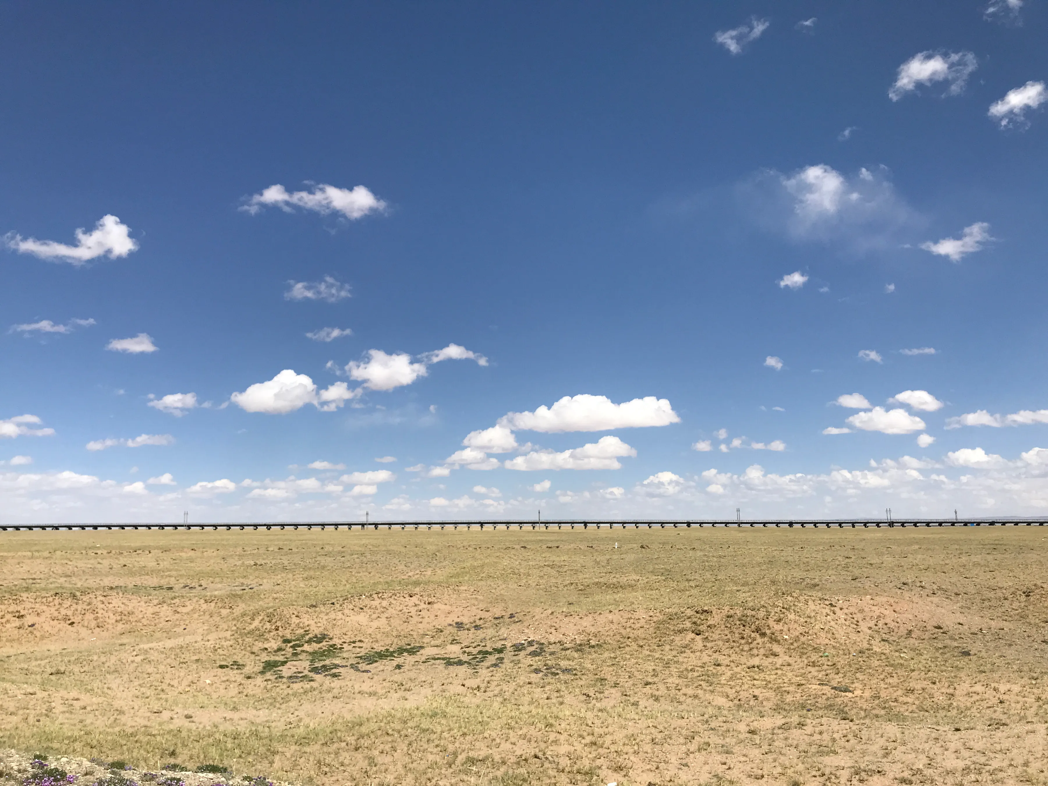 Colorful Qaidam (6) Golmud