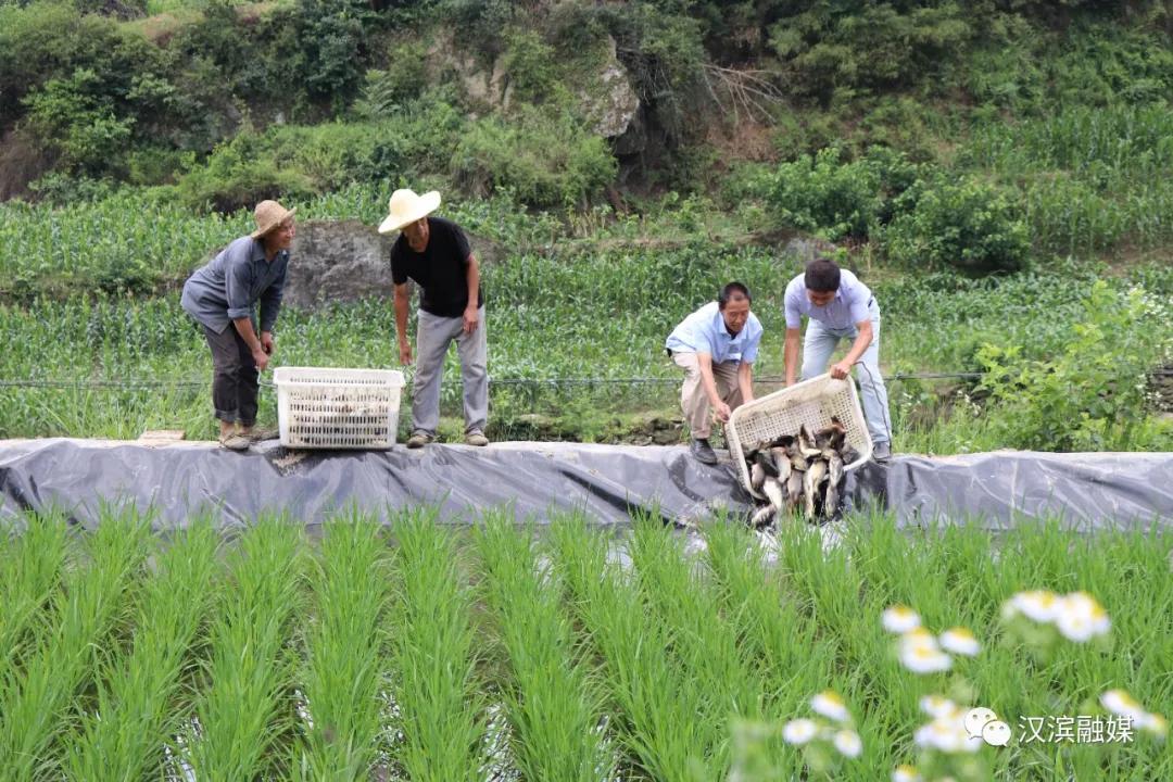 “十三五”回顾之四：带贫益贫，“四式八法”实现多赢