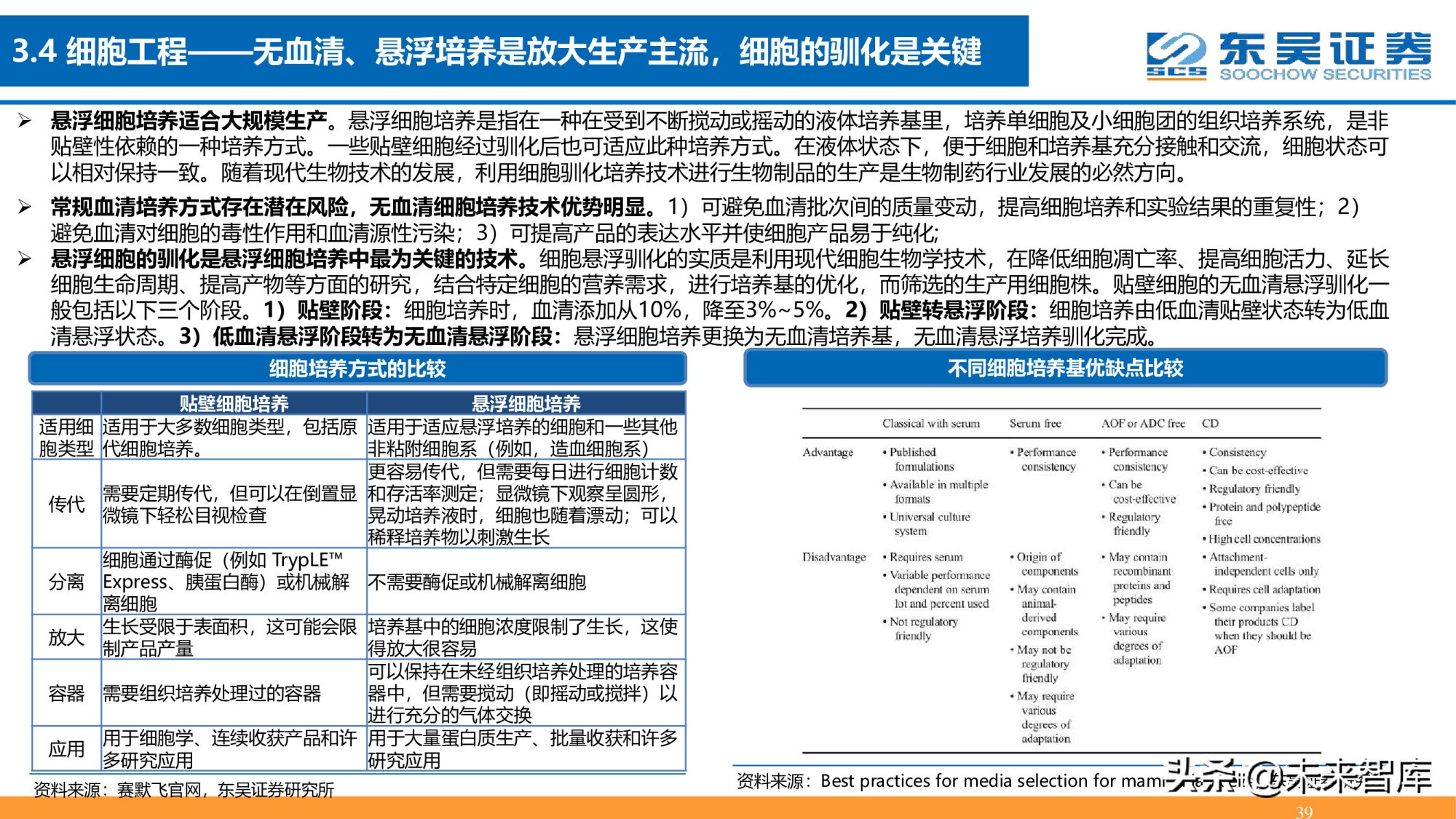 细胞基因治疗CDMO行业深度报告：星火已成燎原势