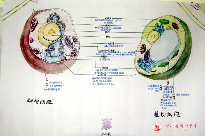 四川省简阳中学怎么样?首届生物学科节(图20)