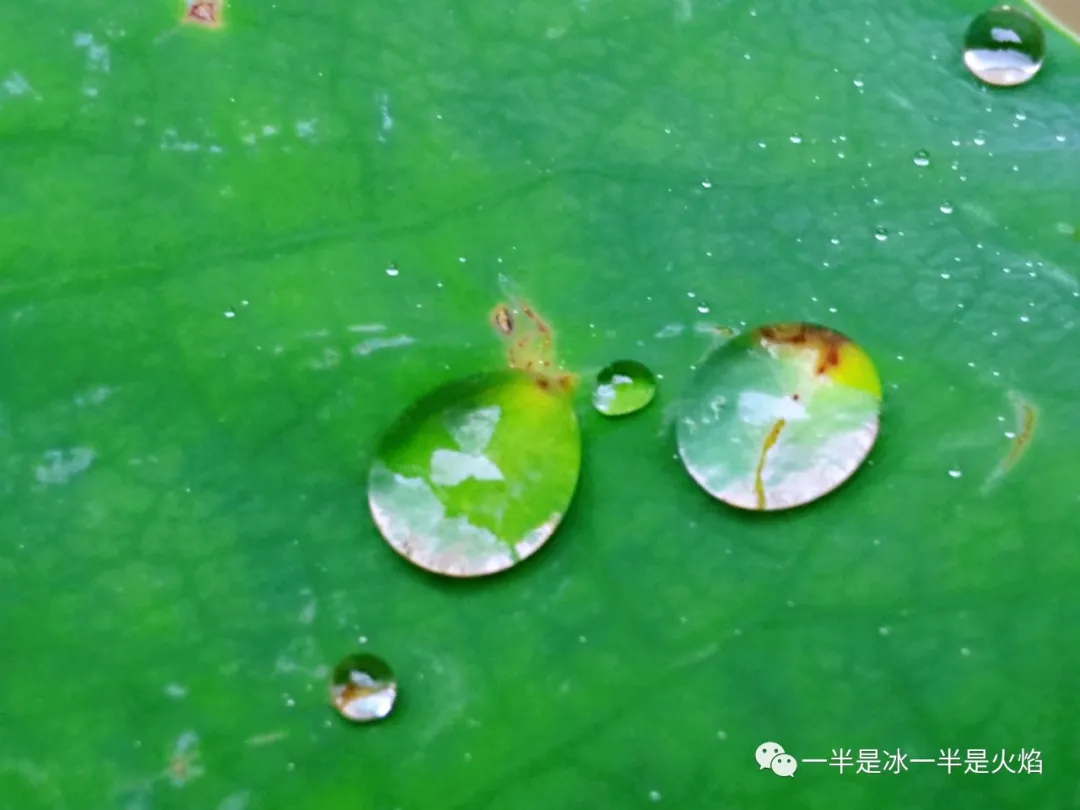 周末，你那里下雨了吗-第2张图片-诗句网