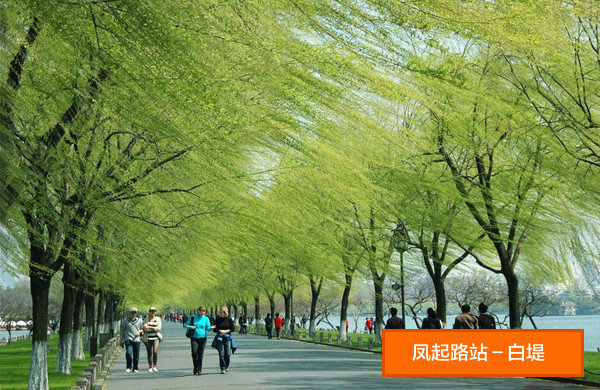 杭州攻略，一条地铁线游遍全部景点