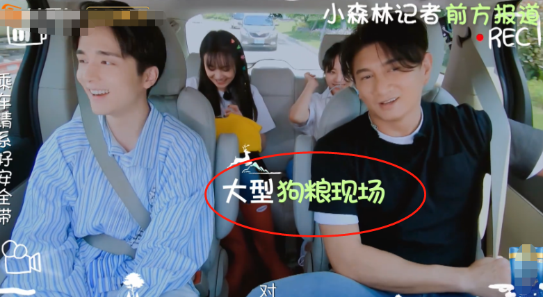 吴奇隆节目首谈儿子，公开小名“步步”含义，都是对刘诗诗的爱啊