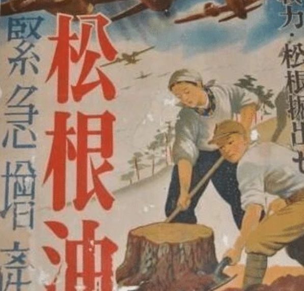 为帮战机起飞，二战日本“全民疯狂挖树根”，时代的悲哀